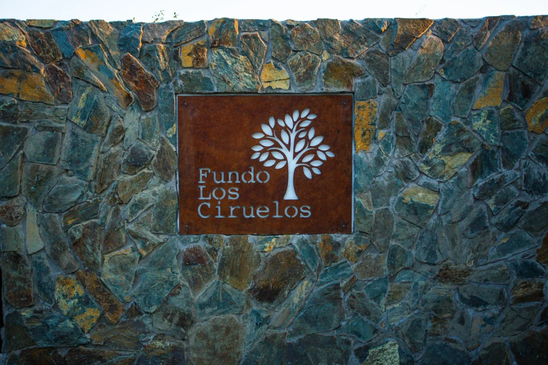 Fotos Fundos Los Ciruelos-18