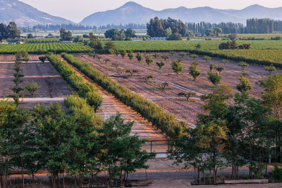 Fotos Fundos Los Ciruelos 2-1