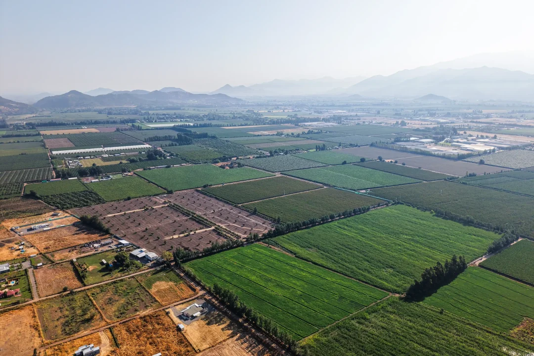 Fotos Fundos Los Ciruelos-78